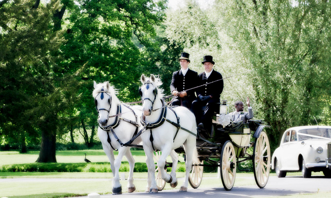 Wedding Horse & Carriage Nottingham